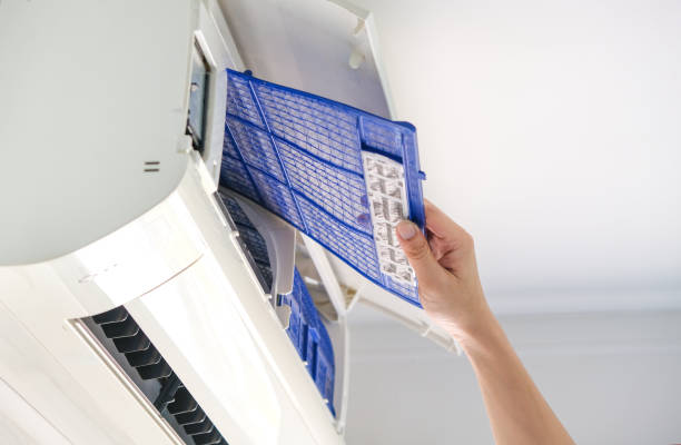 Best Home Air Vent Cleaning  in Newport, MN