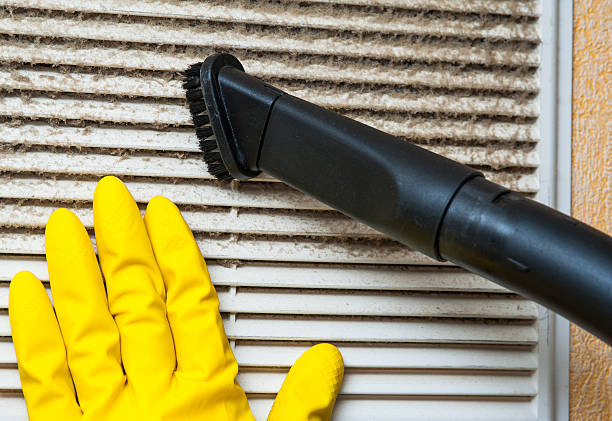 Best HVAC Duct Inspection Services  in Newport, MN